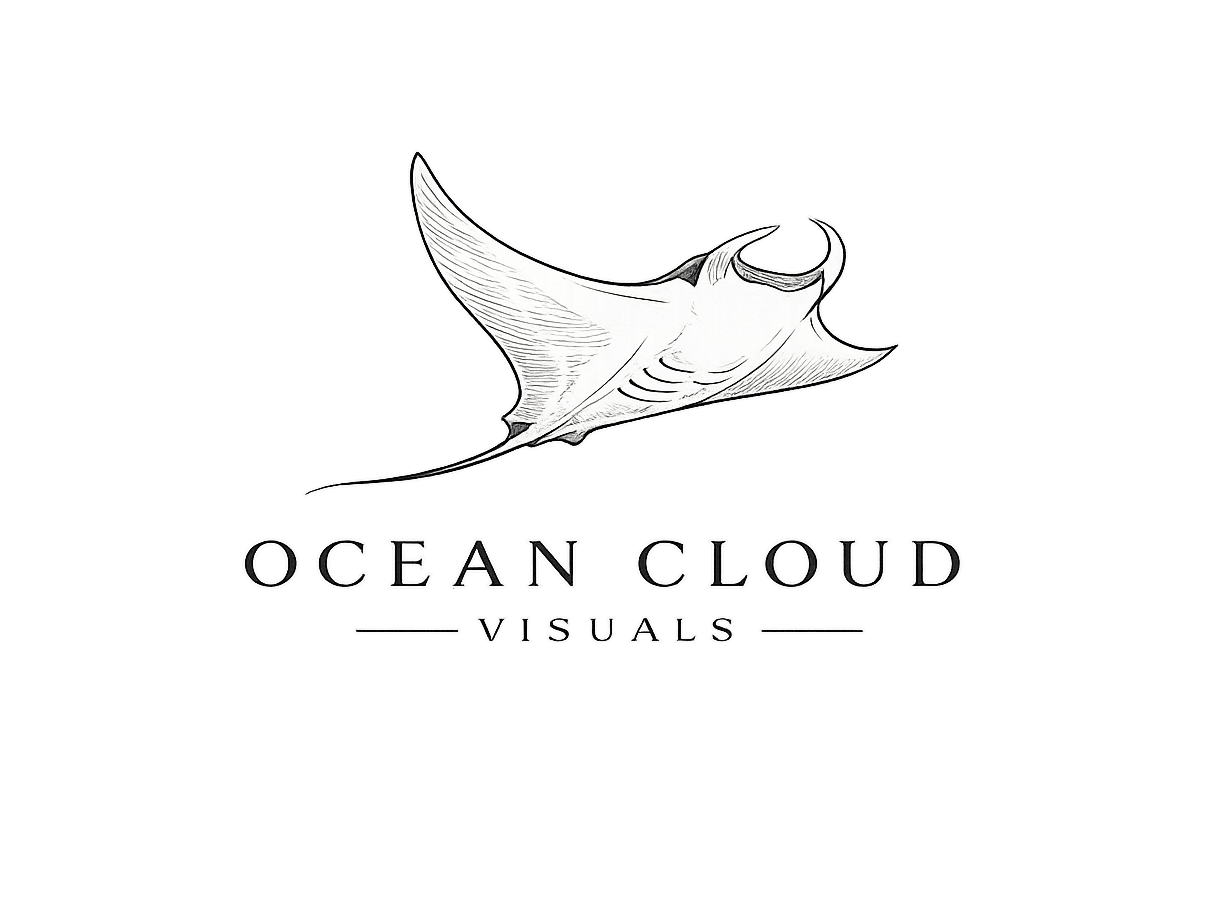 Ocean Cloud Visuals